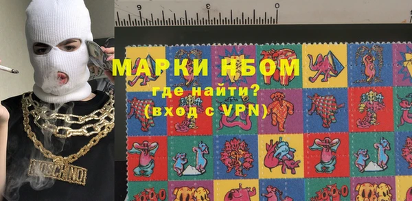 гашик Алексеевка