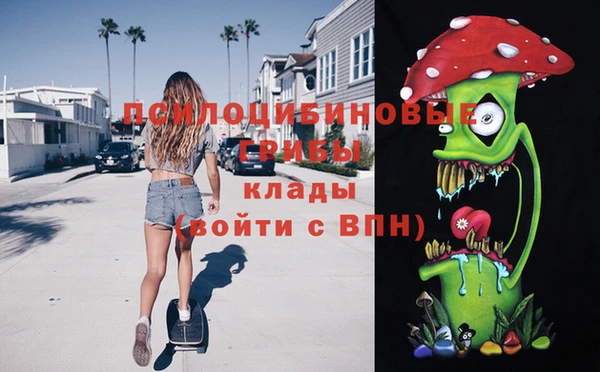 а пвп мука Абаза