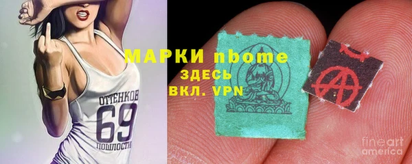 гашик Алексеевка